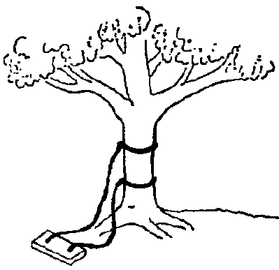 Entwurf